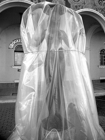 Statue Under Wraps B&W