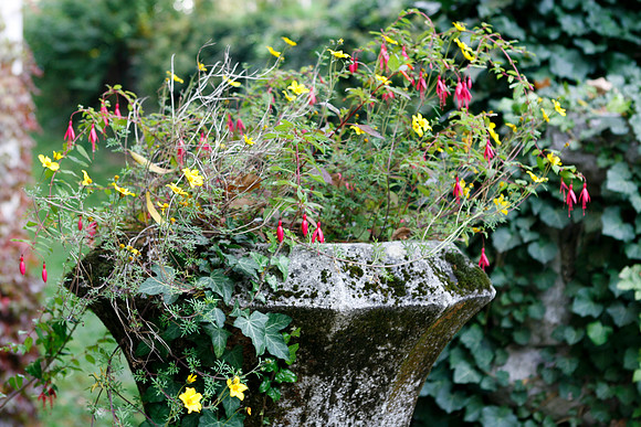 Bled Flower Pot