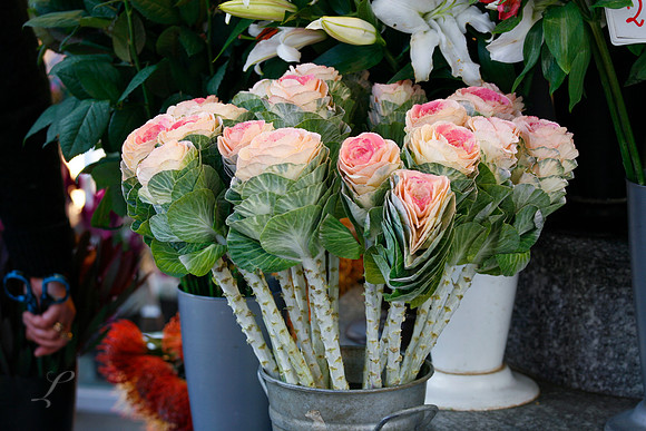 Vienna Flower Shop