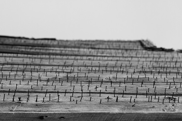 Montana Windblown Roof