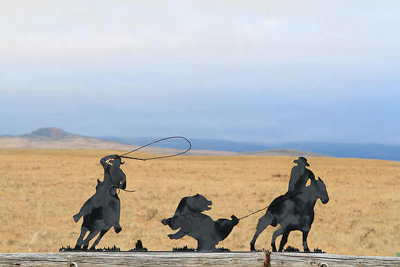 That's How You Catch A Grizzley, Montana