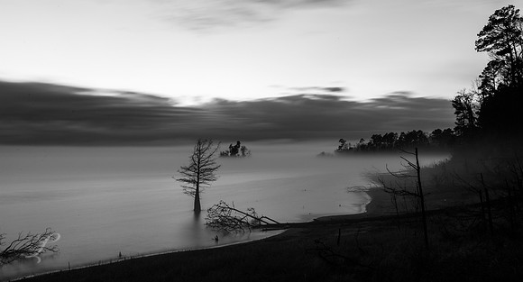 Winter Fog Bank