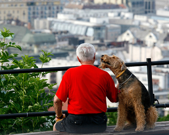 Talking Hungarian Dog