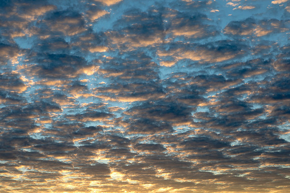 Big Sam Winter Sky