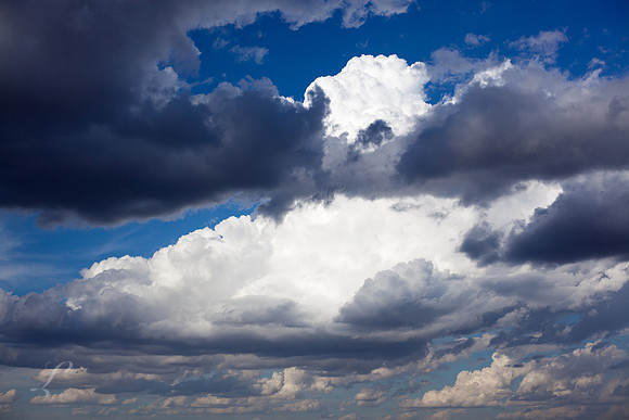 Afternoon Storms