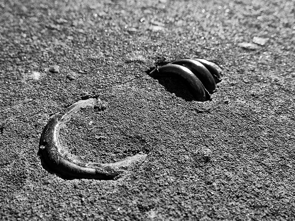 Sprung B&W