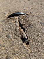 Screwfault