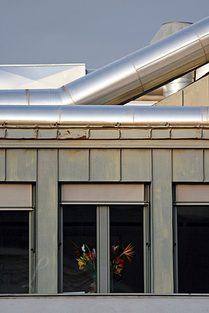 Vienna Window Flower Arrangement