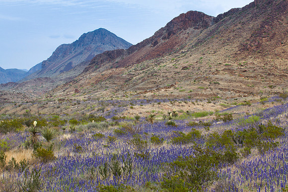 Slopes of Blue