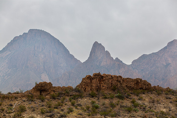 Big Bend Dike