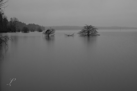 Smooth Waters