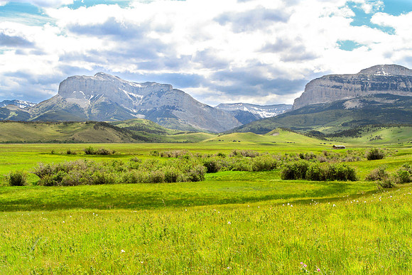 Montana Valley Spring