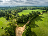 Fork In The Hayfield Road