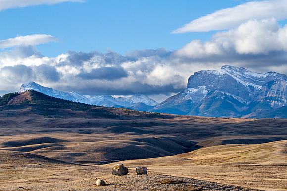 Rolling Hills To The Front