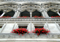 Vienna, Austria Rathaus Building
