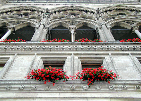 Vienna, Austria Rathaus Building