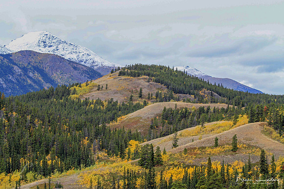 Fall in the Yukon
