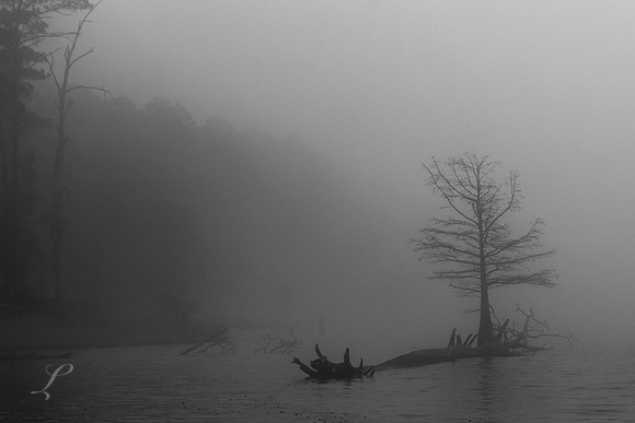 Foggy Morning East