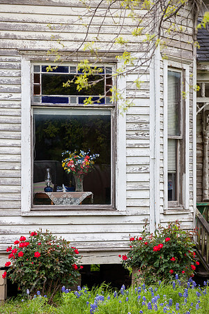 In Yonder Window