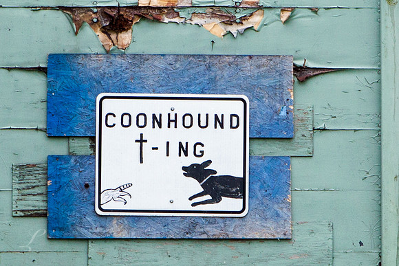 Coon Hound Crossing