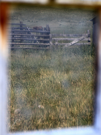 Farm Reflections