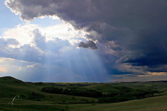 North Dakota Sunbeams