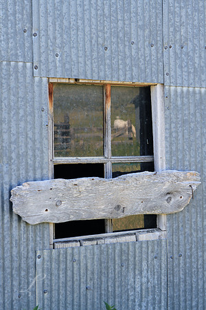 Reflections Of A Barn Window